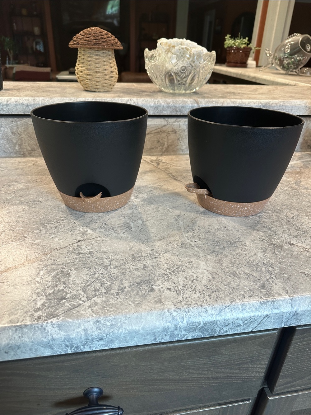 Plant pots
